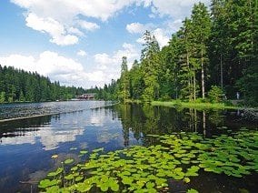 Single Parents on Holiday - The Bavarian Forest about Image 1