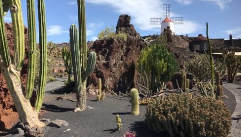 Jardin de Cactus in Guatiza, Lanzarote, Canaries