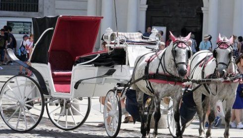 horse drawn carriage, Vienna
