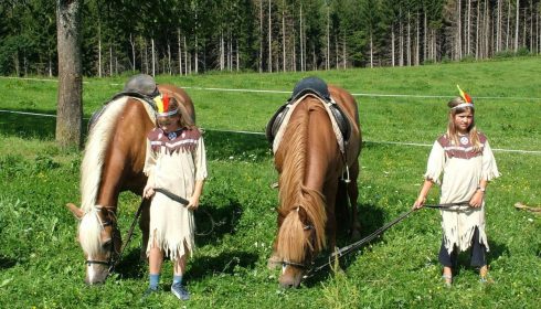 single parent farm holiday in Austria - native American day
