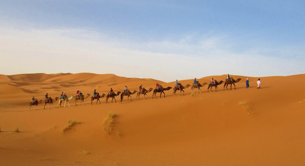 desert tour in Morocco - camel ride