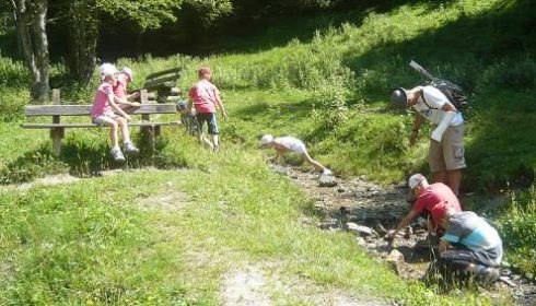 dad and children hiking by stream near Alpendorf