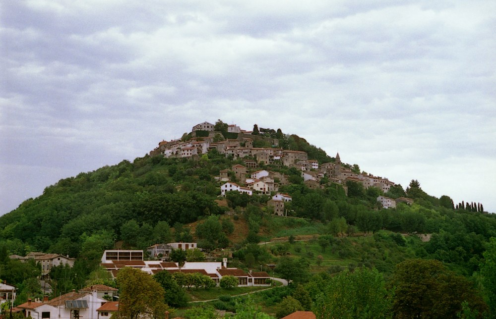 visit Croatia - Motovun