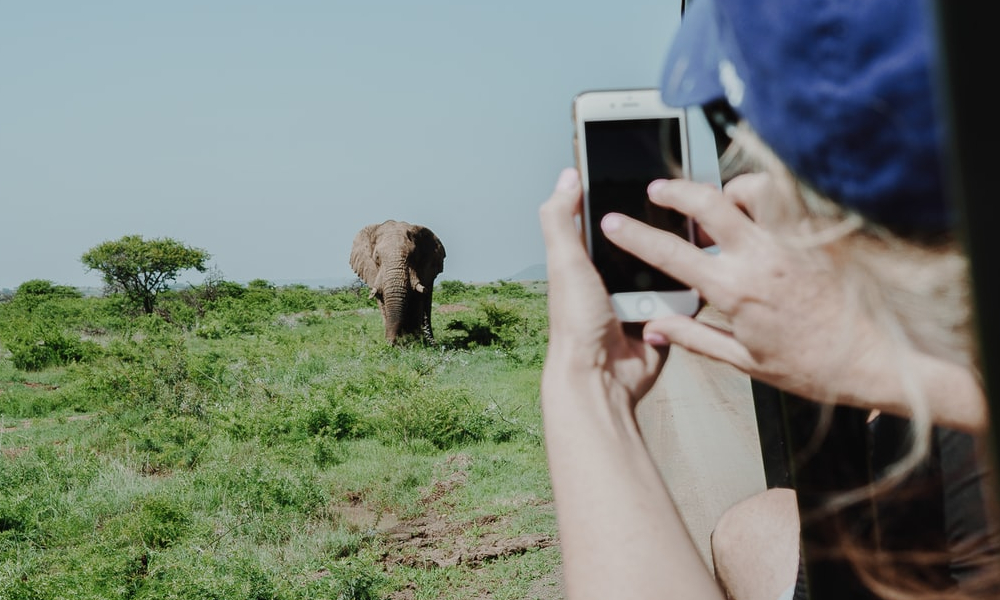 African safari with kids -taking photos on phone