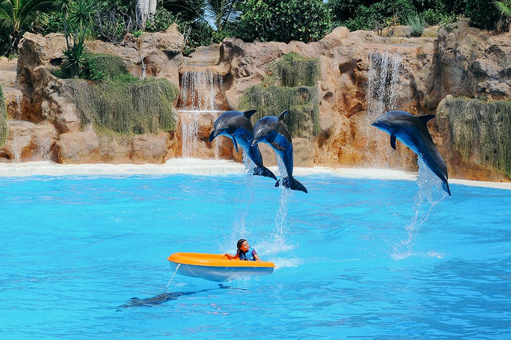 holidays with kids - waterpark Tenerife
