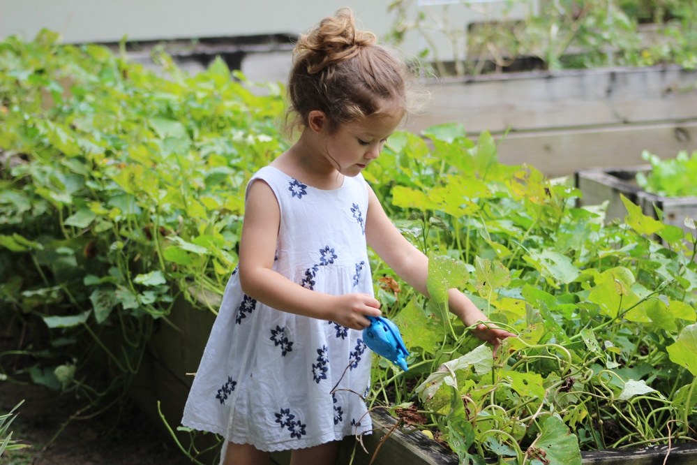 vegetable garden - young girl gardening