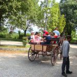horse drawn carriage ride in Italy