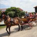 horse drawn carriage ride in Magredi