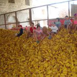 children playing in corn pile