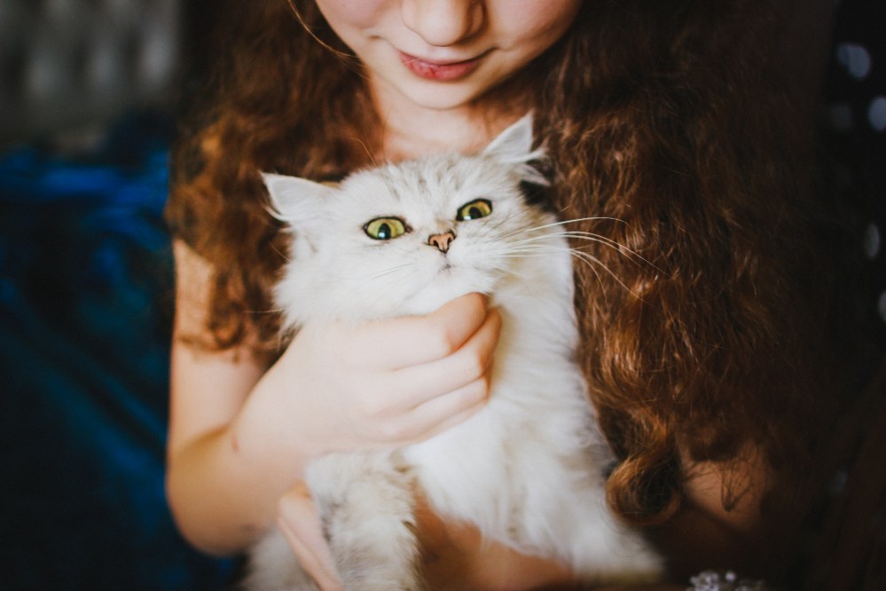 family pet - girl with cat