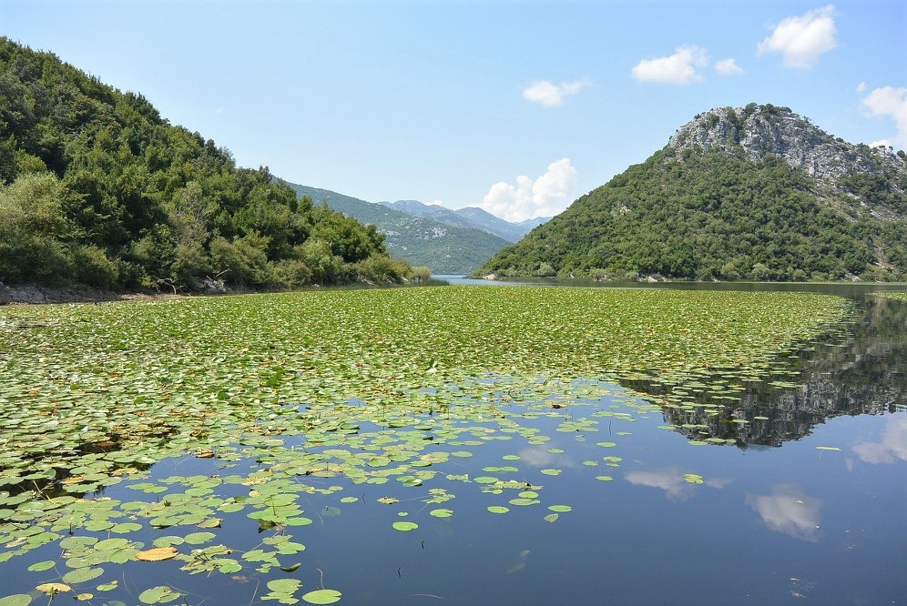 Skadar Lake National Park in Montenegro