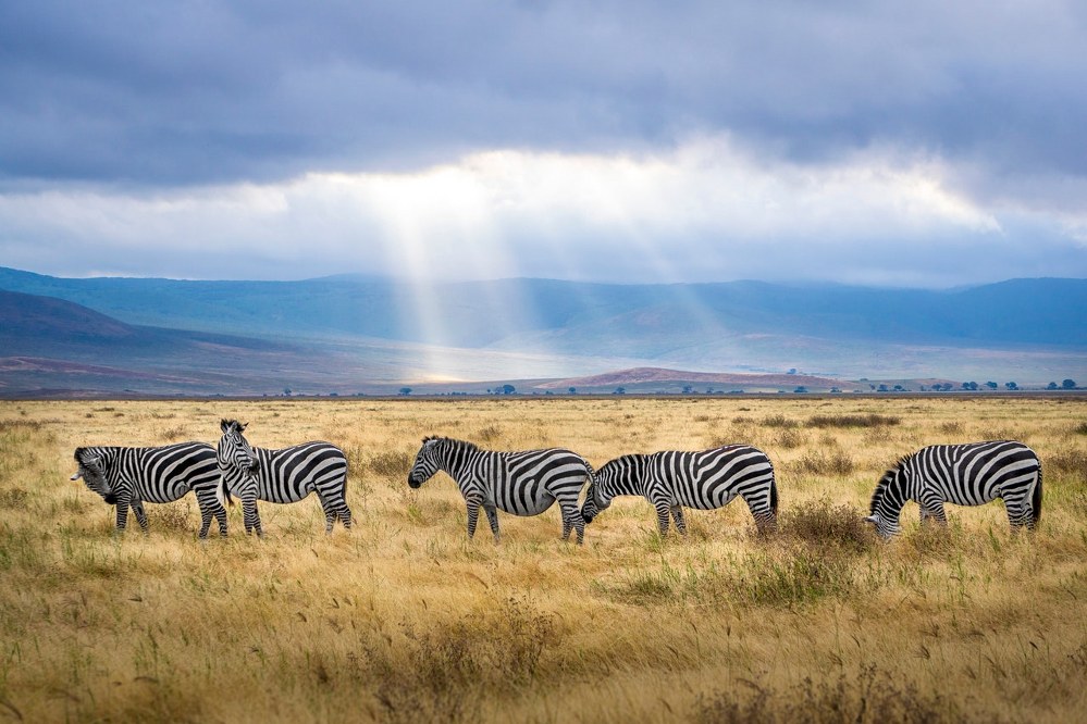 single parent holiday ideas off the beaten track - safari in Tanzania