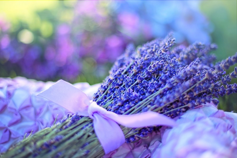 lavender to keep you calm