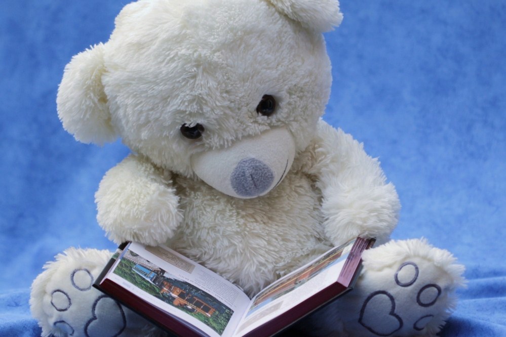 teddy reading book