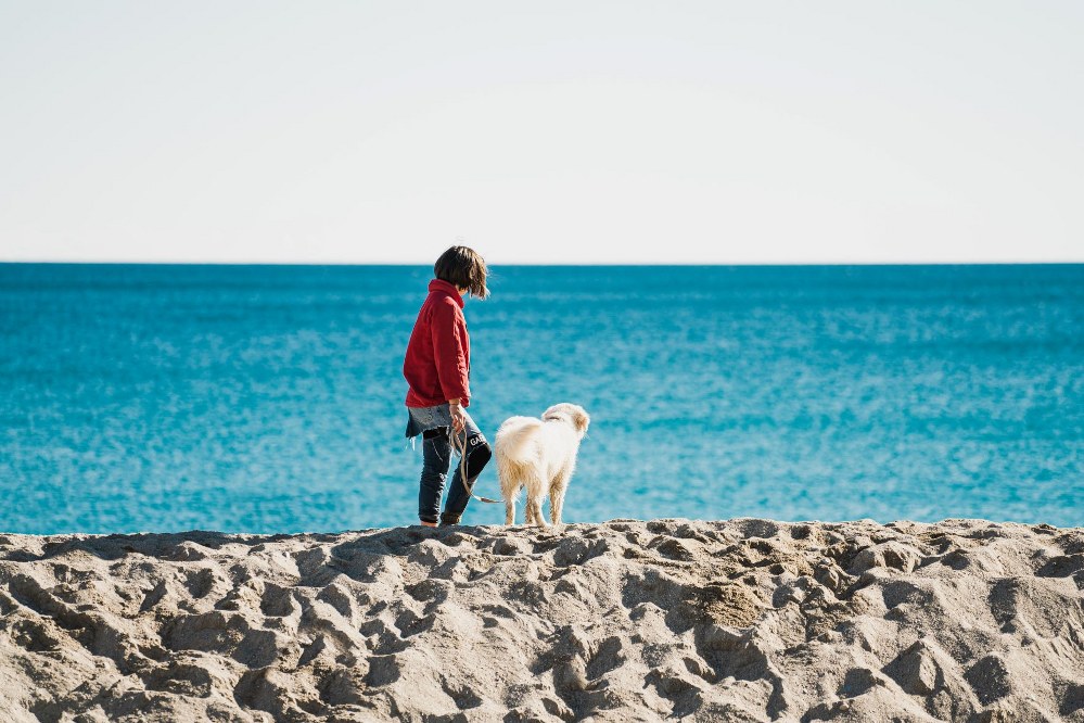 child with pet on beach