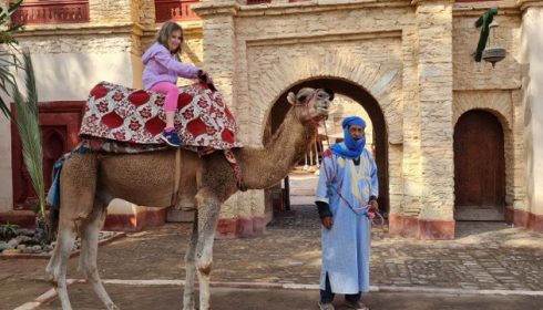 single parent holiday - dromedary riding outside Medina