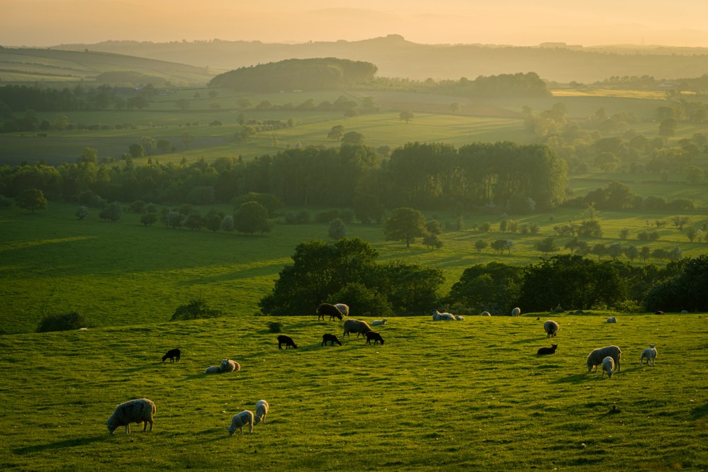 Tees Valley and North Yorkshire countryside