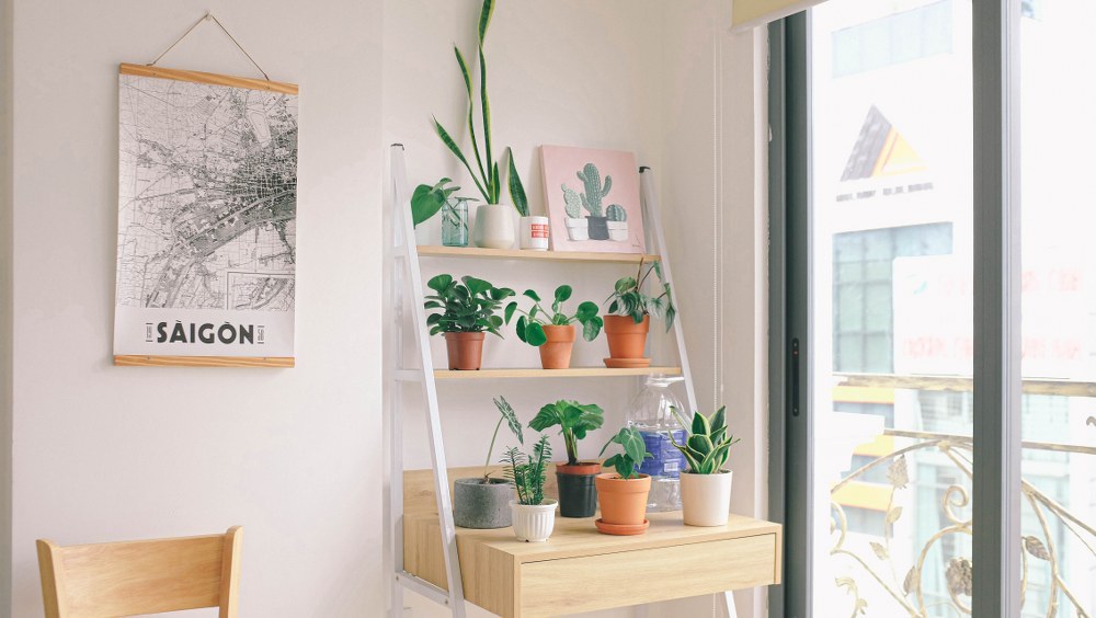 plant rack - family friendly home improvements