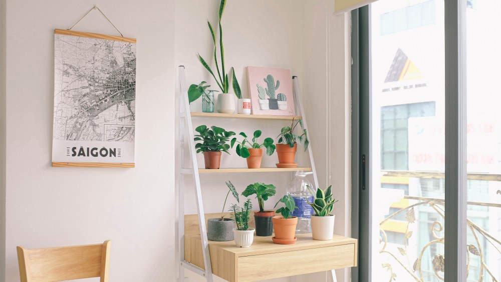 plant shelf - family friendly home improvements