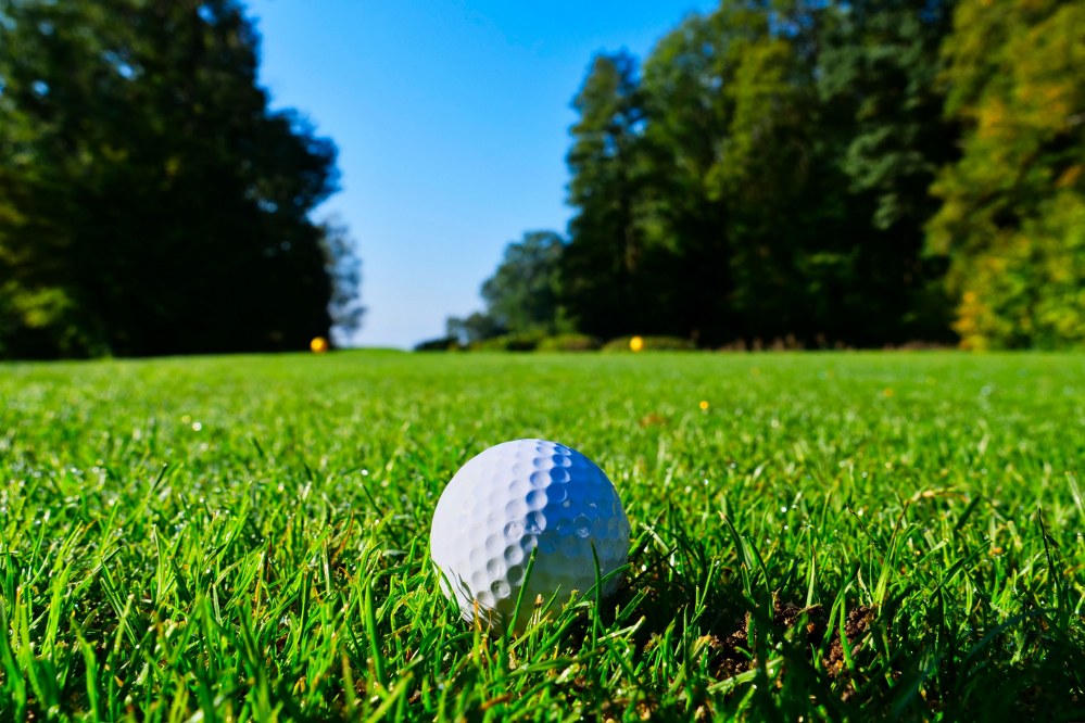 golf ball on golfing green