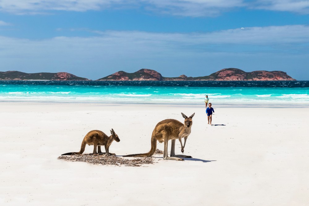 solo parenting adventure: Kangaroo Island, Australia