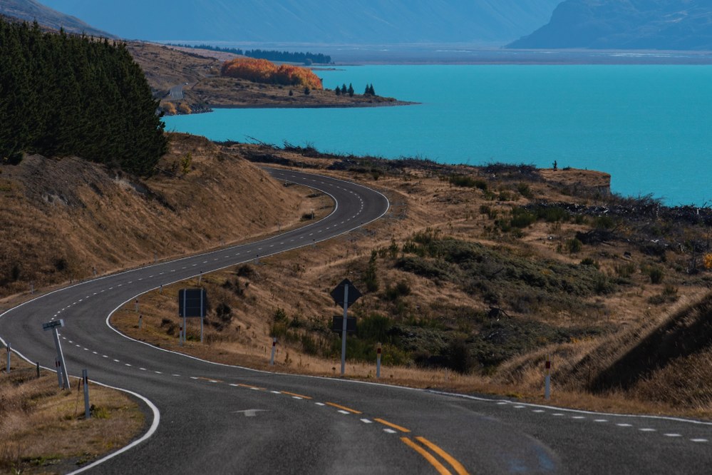 How to Explore New Zealand with Kids