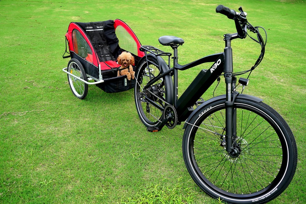 electric bike with trailer