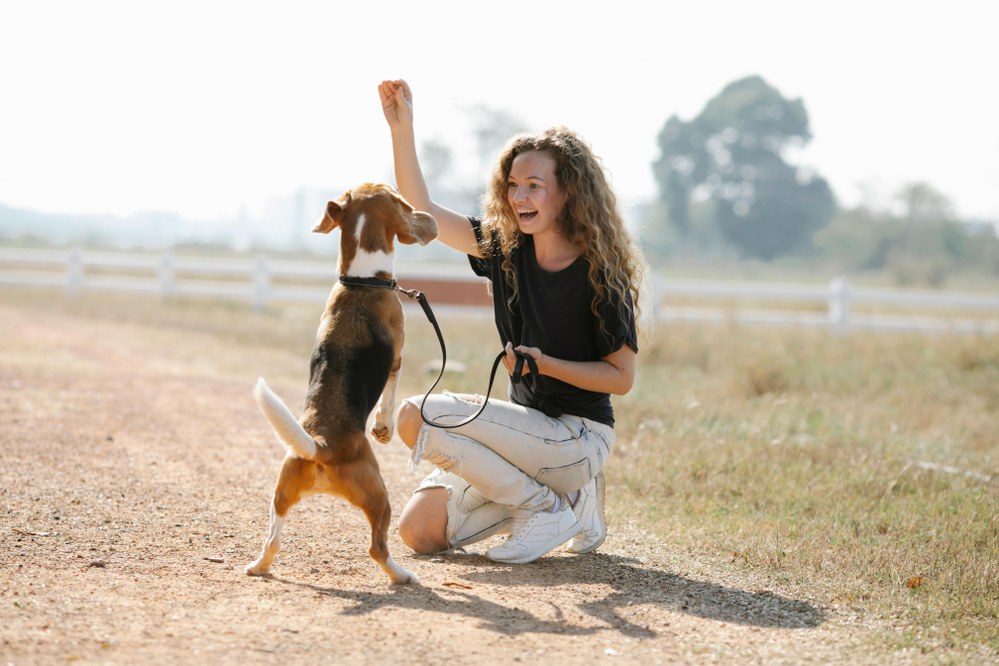 young woman training dog: pet education