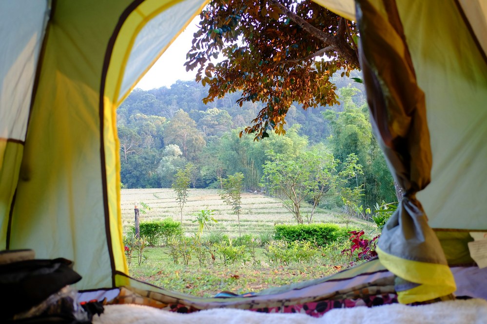 view from tent on camping trip with kids