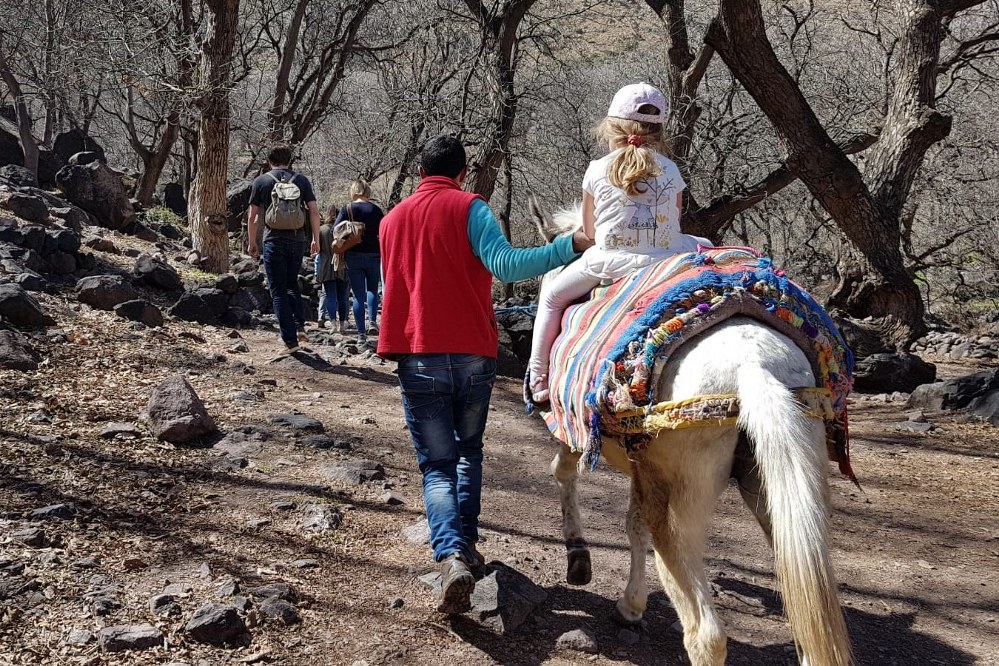 child riding mule to a Berber village - things to do in Marrakech