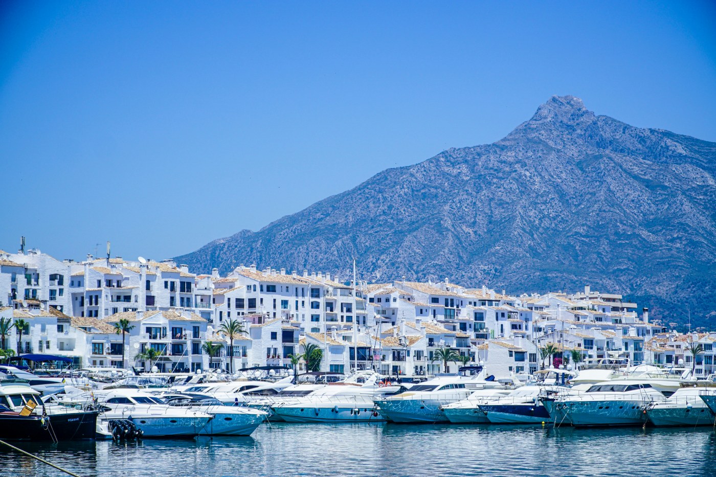 Marbella harbour