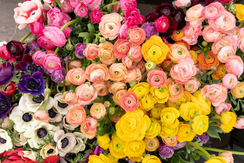 the language of flowers