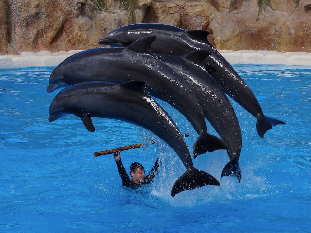 Single Parents on Holiday - Tenerife programme Image 3
